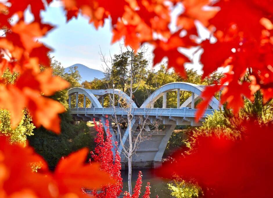 Cedar Mountain E Grants Pass